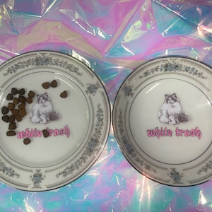 cat food bowl