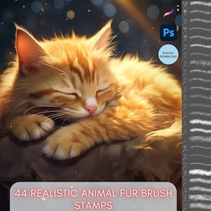 Procreate Photoshop Realistic Fur Brush Stamps Preset for iPad , Digital Download Brush Set Bundle Set