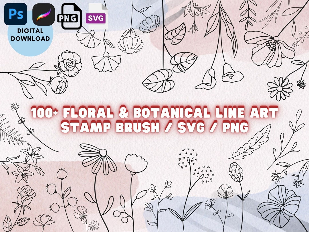 Floral Botanical Line Art Doodle , Procreate Photoshop PNG SVG Stamp ...