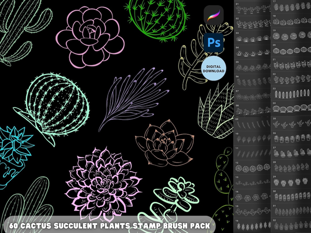 Cactus Succulent Plant Stamp Brushes, Line Art, Procreate Photoshop ...