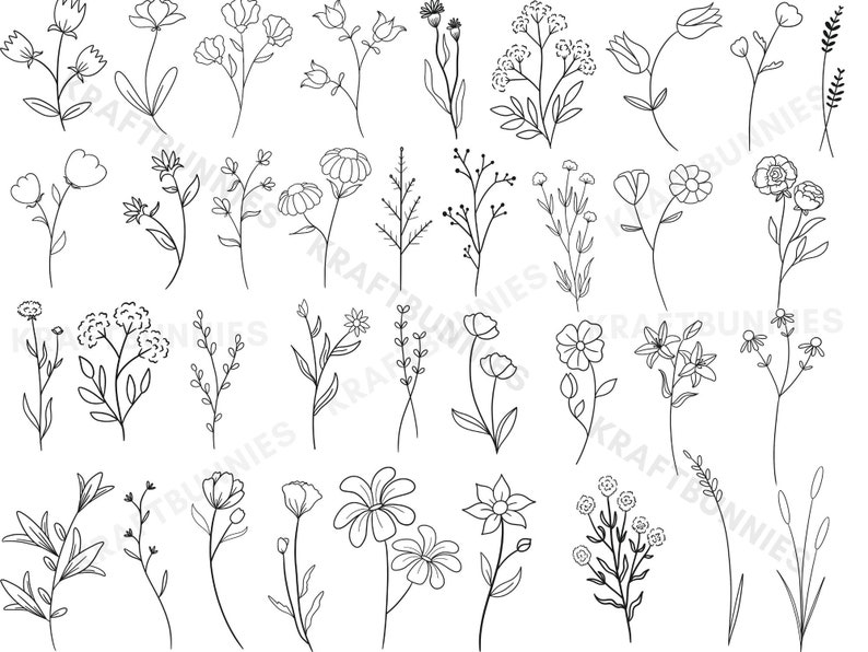 Floral Botanical Line Art Doodle , Procreate Photoshop PNG SVG Stamp ...