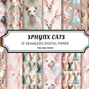 Chats Sphynx, motif répété sans poil, fond de polygone rose pâle chat sans poil, papier numérique imprimable