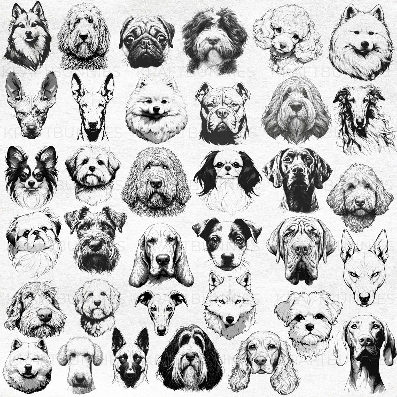 100 Dog Breeds Clipart Brush Stamp , Procreate Photoshop PNG Puppy Dogs ...