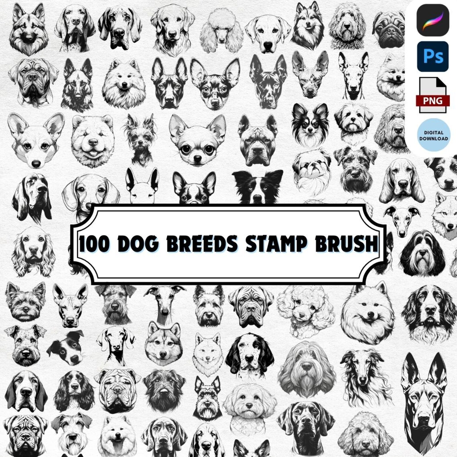 100 Dog Breeds Clipart Brush Stamp , Procreate Photoshop PNG Puppy Dogs ...