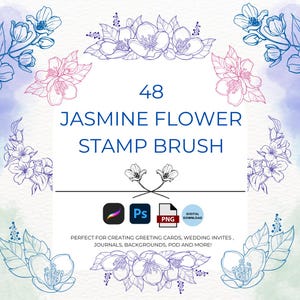 Procreate Jasmin-Blumen-Stempel-Bundle-Pack, Floral Line Art Doodle Brushes Digital Download