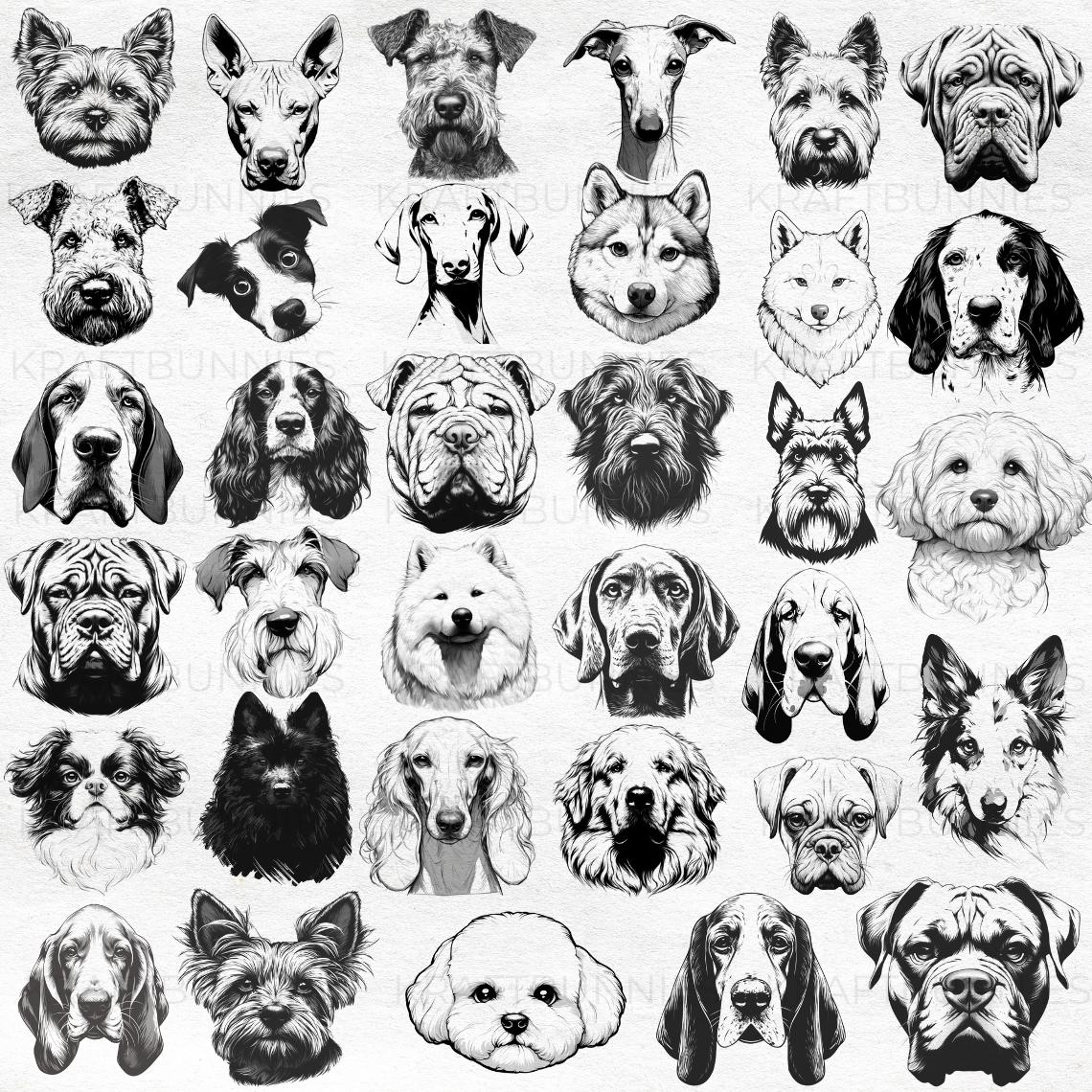 100 Dog Breeds Clipart Brush Stamp , Procreate Photoshop PNG Puppy Dogs ...