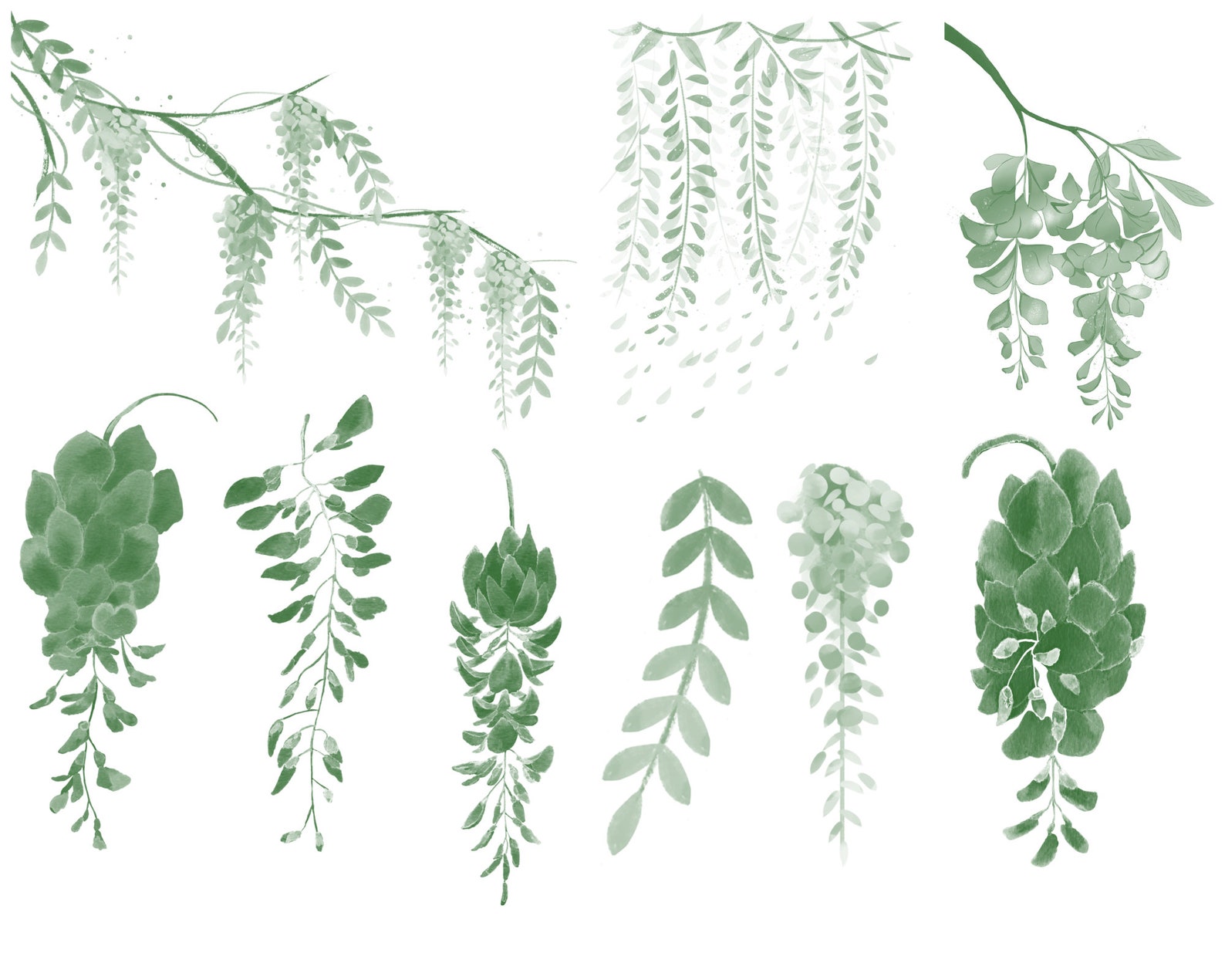 Procreate Photoshop Botanical , Foliage & Landscape Stamp Drawing Brush ...