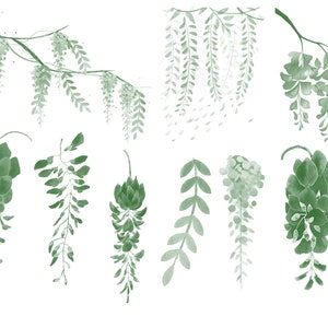 Procreate Photoshop Botanical , Foliage & Landscape Stamp Drawing Brush ...