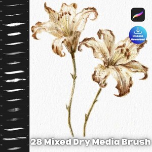 May include: Digital art brushes for Procreate. The image shows two detailed illustrations of lilies in shades of brown and cream. The text reads "28 Mixed Dry Media Brush" and "Instant Download".
