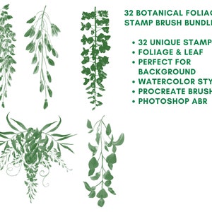 Procreate Photoshop Botanical , Foliage & Landscape Stamp Drawing Brush ...