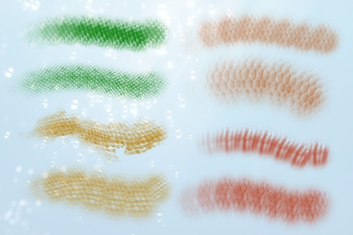 Procreate Photoshop Dynamic Fish Scale Brush Stamp Bundle Pack ...
