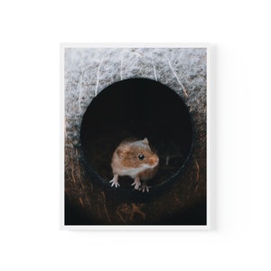 Field Mouse Wall Art Print Poster | Wildlife & Animal Photography