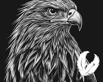 May include: A black and white illustration of a hawk with a single white feather behind its head. The hawk's head is turned to the side, and its eye is visible. The illustration is detailed and realistic.