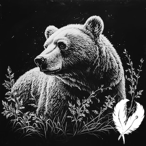 May include: A black and white illustration of a bear's head and shoulders, looking to the left. The bear is surrounded by tall grass and a single white feather is in the bottom right corner.
