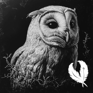 owl png file for slate laser engraving, glowforge file, lightburn png, slate coaster drawing, for cnc router, owl laser png