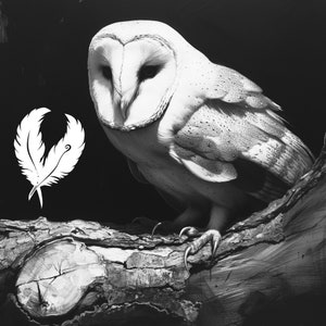 owl png file for slate laser engraving, glowforge file, lightburn png, slate coaster drawing, for cnc router, illusion laser png