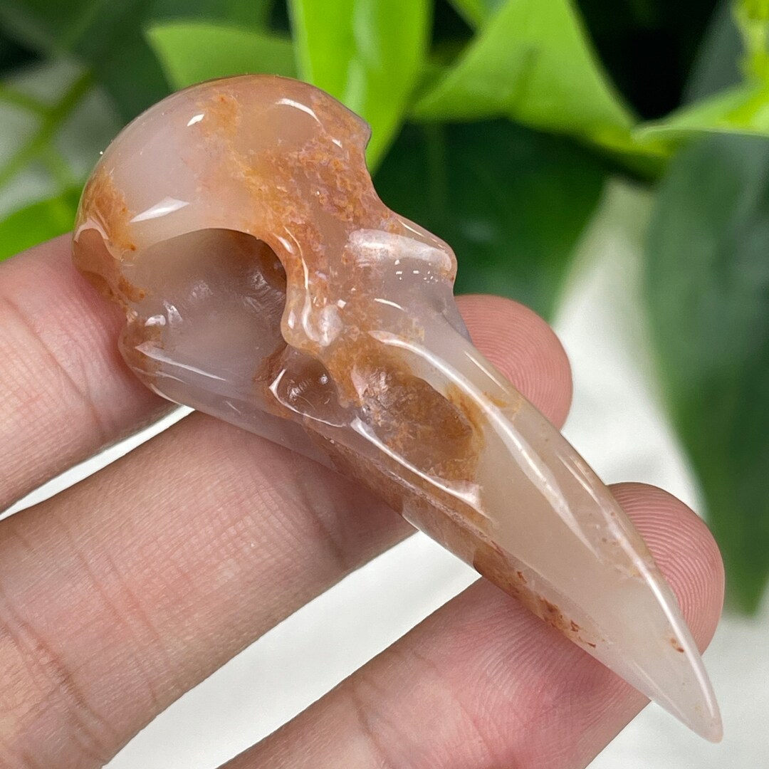 2.5 Chalceony Jasper Carved Crystal Raven Skull Hand Etsy