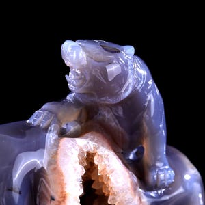 6.2” Natural Geode Agate Hand Carved Crystal Tiger Sculpture, Unique Crystal Carving for Home Decor & Collectors, Handcrafted Gift