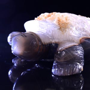 7.5” Natural Geode Agate Hand Carved Crystal Turtle Sculpture, Unique Crystal Carving for Home Decor & Collectors, Handcrafted Gift