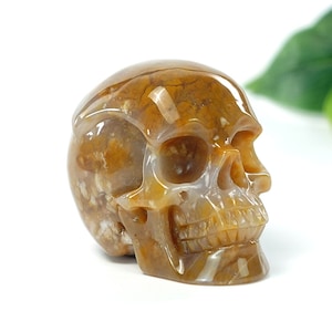 Crânio de cristal de jaspe calcedônia realista de 3,15-3,35 polegadas - Escultura de belas artes para coleção, decoração, presente, cura, chakra e meditação