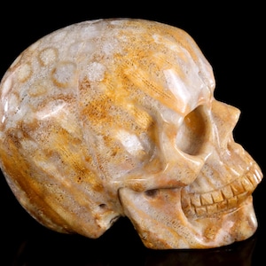 3,0-Zoll-Skulptur, natürliche Astroies, handgeschnitzte Kristallschädel, einzigartige Kristallschnitzerei für Wohnkultur, handgefertigtes Geschenk