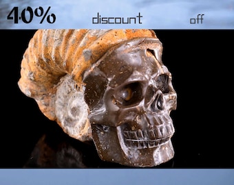 5.6” Natural Fossil Hand Carved Crystal Skull Sculpture,Unique Crystal Carving for Home Decor, Handcrafted Gift