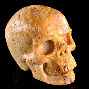 3,0-Zoll-Skulptur, natürliche Astroies, handgeschnitzte Kristallschädel, einzigartige Kristallschnitzerei für Wohnkultur, handgefertigtes Geschenk