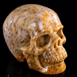 3,0-Zoll-Skulptur, natürliche Astroies, handgeschnitzte Kristallschädel, einzigartige Kristallschnitzerei für Wohnkultur, handgefertigtes Geschenk