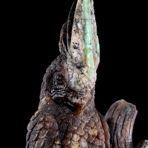 Emerald Crystal Parrot Sculpture: Hand Carved Home Decor (8.5&quot;)