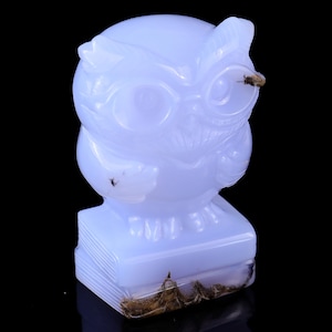 3.0” Natural Blue Chalcedony Hand Carved Crystal Owl Sculpture, Unique Crystal Carving for Home Decor & Collectors, Handcrafted Gift