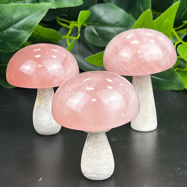 Large Mushroom - Etsy