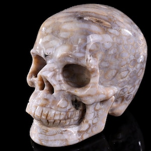 3,0-Zoll-Skulptur, natürliche Astroies, handgeschnitzte Kristallschädel, einzigartige Kristallschnitzerei für Wohnkultur, handgefertigtes Geschenk