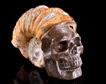 5.6” Natural Fossil Hand Carved Crystal Skull Sculpture,Unique Crystal Carving for Home Decor, Handcrafted Gift
