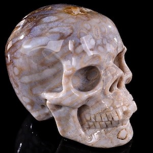 3,0-Zoll-Skulptur, natürliche Astroies, handgeschnitzte Kristallschädel, einzigartige Kristallschnitzerei für Wohnkultur, handgefertigtes Geschenk