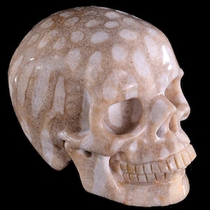 3,0-Zoll-Skulptur, natürliche Astroies, handgeschnitzte Kristallschädel, einzigartige Kristallschnitzerei für Wohnkultur, handgefertigtes Geschenk