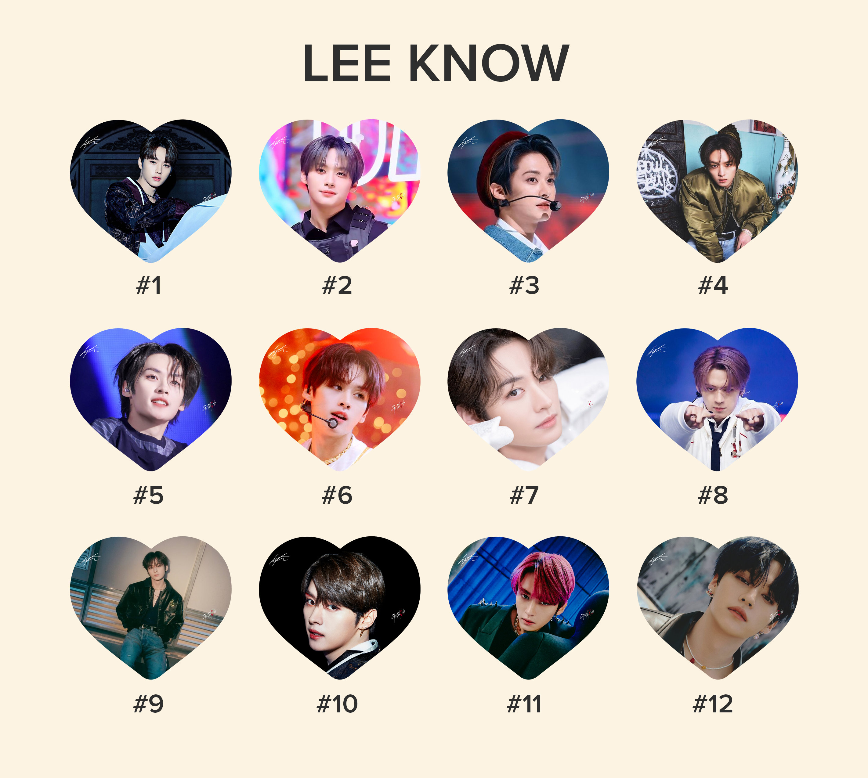 Stray Kids Lee Know Photo KPOP Picket / Fan With Ruffles - Etsy