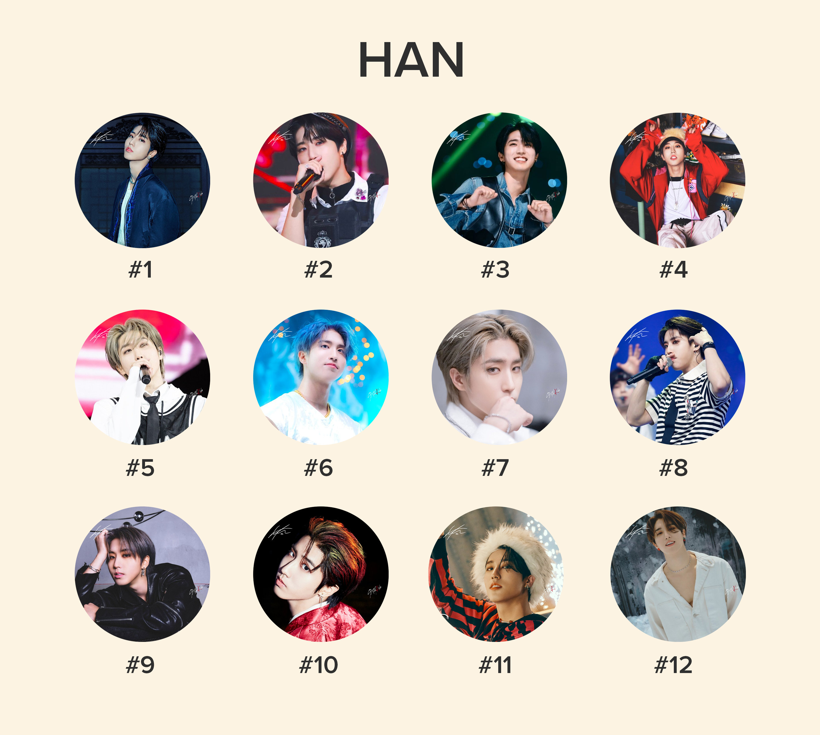 Stray Kids Han Photo KPOP Picket / Fan With Ruffles - Etsy