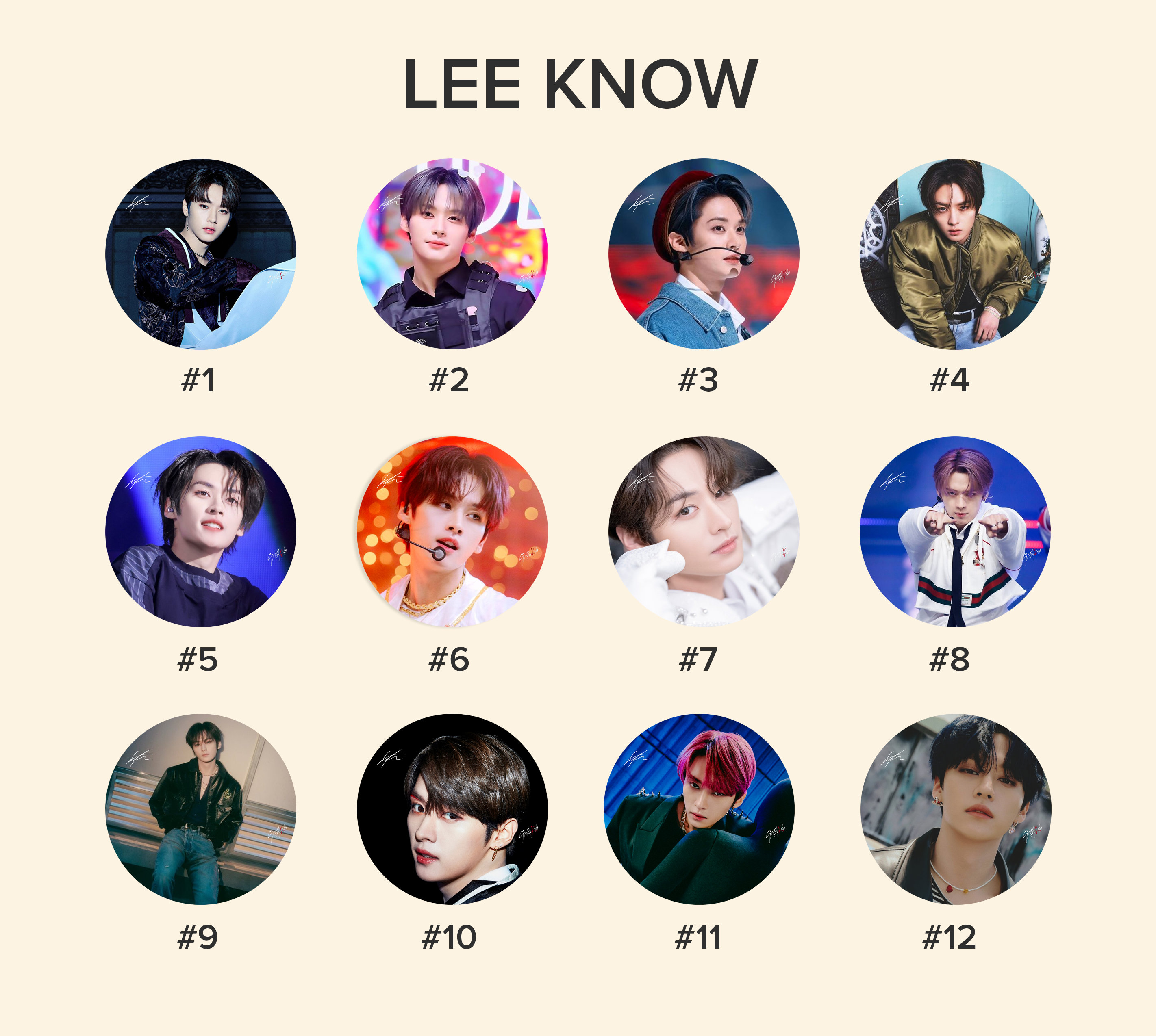 Stray Kids Lee Know Photo KPOP Picket / Fan With Ruffles - Etsy