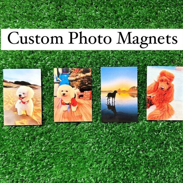 Custom Photo Magnet 2x3 Personalized Cartoon Fridge Magnets Waterproof Custom Gift Photo Magnets illustrated