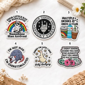 May include: A collection of six embroidered patches with humorous phrases and illustrations. Designs include a raccoon under a rainbow, a skeleton hand, drinks, a rat, a duck, and flowers. Each patch has a unique shape and color scheme.