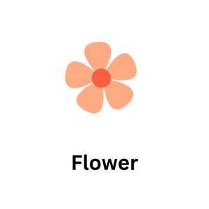 Afdrukbare flashcards voor plantendelen | Educatieve botanische kaarten | Kleurrijk leermateriaal | Wetenschapsactiviteit voor kinderen