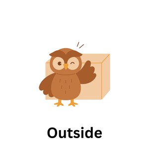 Op de afbeelding: Een bruine uil met grote ogen en een gele snavel kijkt uit een bruine kartonnen doos. De uil knippert met zijn oog en heeft zijn vleugel omhoog. De tekst "Outside" staat onder de afbeelding.