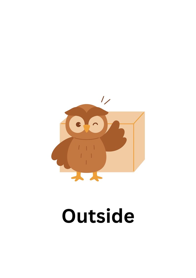 Op de afbeelding: Een bruine uil met grote ogen en een gele snavel kijkt uit een bruine kartonnen doos. De uil knippert met zijn oog en heeft zijn vleugel omhoog. De tekst "Outside" staat onder de afbeelding.