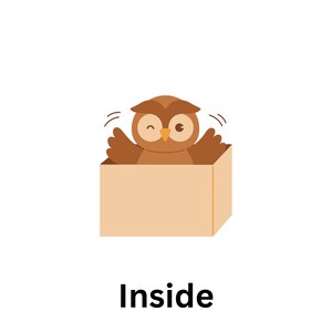 Op de afbeelding: Een bruine uil met gele ogen zit in een bruine kartonnen doos. Het woord "Inside" staat onder de doos.