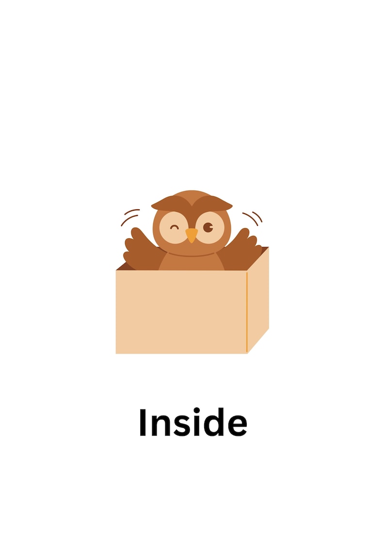Op de afbeelding: Een bruine uil met gele ogen zit in een bruine kartonnen doos. Het woord "Inside" staat onder de doos.