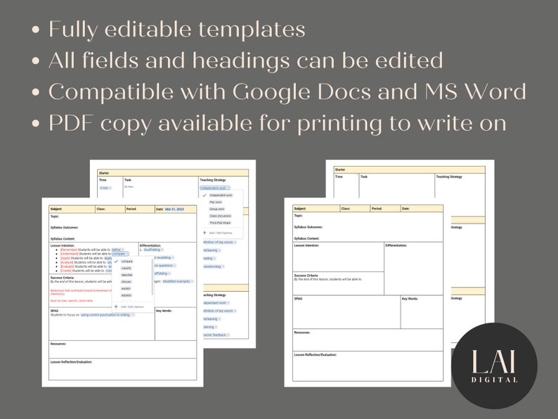 Editable Daily Lesson Plan Template Dropdown Suggestions for quick planning Teacher Planner Edit in Google Docs and MS Word 画像 3