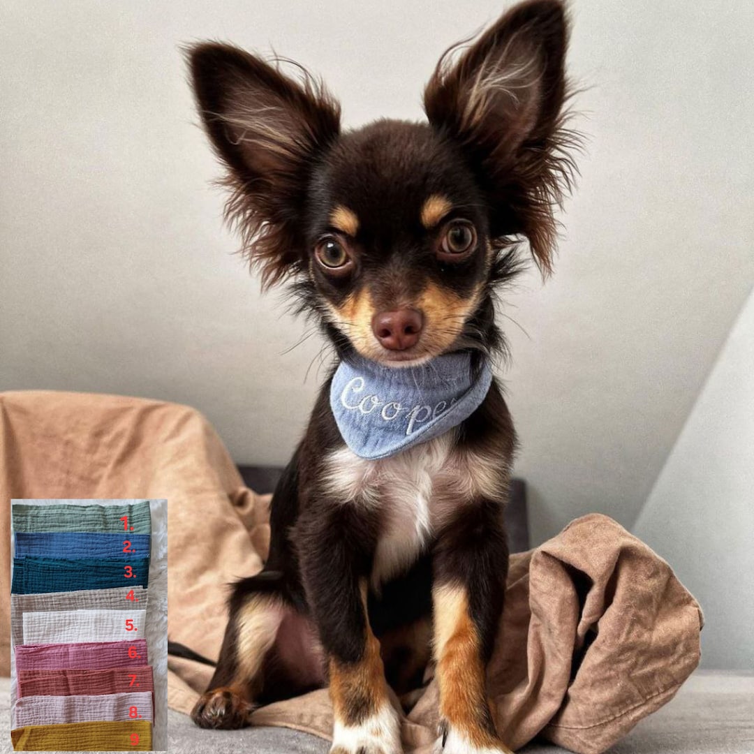 4 Hunde Bandana Set Halloween - Kürbis Motive Für Kleine & Große Hunde