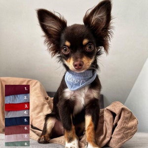 Hundehalstuch | XXS | Chihuahua | Dreieckstuch | Bandana | Hund | Mini Hunde | Mini | Welpe | personalisiert | Hunde Halstuch |