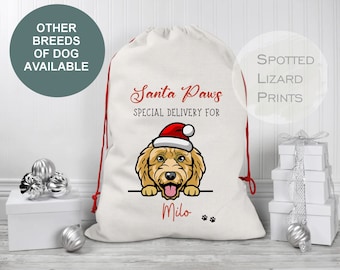 Personalised Santa Sack, Custom Christmas Gift Sack, Large Santa Bag with Name, pets Christmas Present Sack, Personalised Christmas Sack