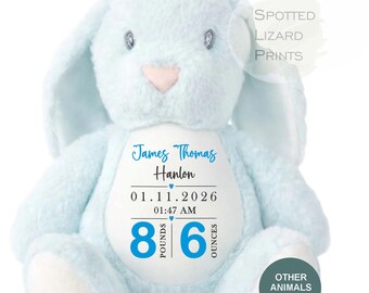 Born in 2026 Birth Details Bunny, Personalised Baby Rabbit, Custom Name Date Weight Time, Newborn Keepsake, Baby Boy Girl Gift